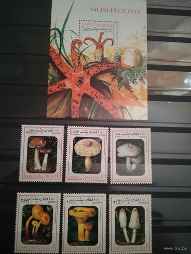 Афганистан 1999г. Грибы.