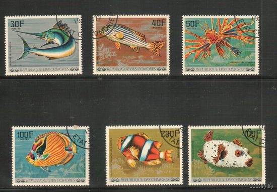 Коморы-1977,(Мих.362-367)  гаш., Фауна, Рыбы (полная серия)