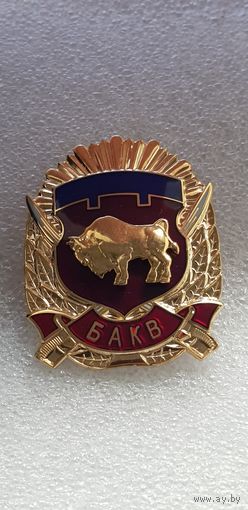 Брестское областное кадетское училище Беларусь