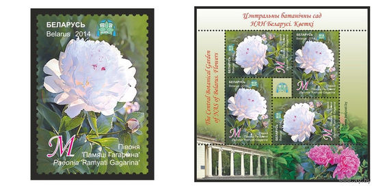 2014 БЕЛАРУСЬ  марка или малый лист   "Пион "Памяти Гагарина"" MNH