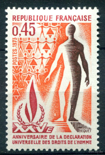 Франция - 1973г. - 25 лет всеобщей декларации прав человека - 1 марка - полная серия, MH [Mi 1861]. #2-Fr-35-A-1