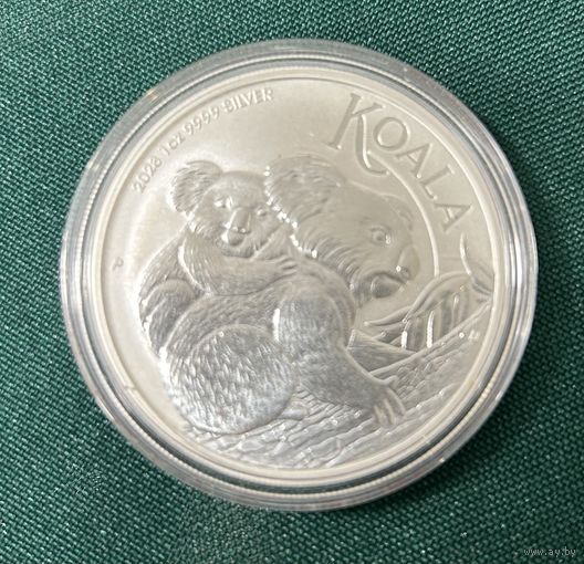 Коала 2023