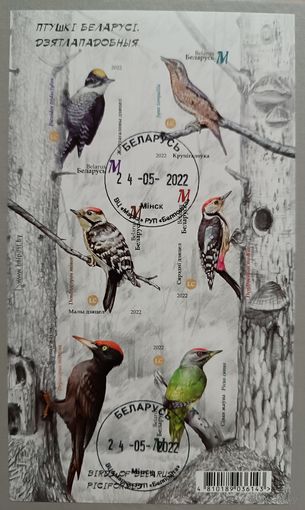 Дятлы. Лист без перфорации. Беларусь, 2022