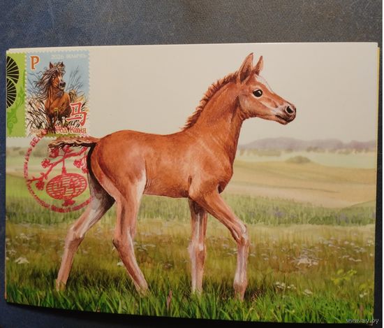 Восточный календарь. 2026 год Год Лошади Картмаксимум Беларусь