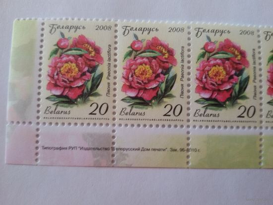 Двенадцатый стандарт. 20 р. Зак. 96-2010. Нижняя сцепка (А030)