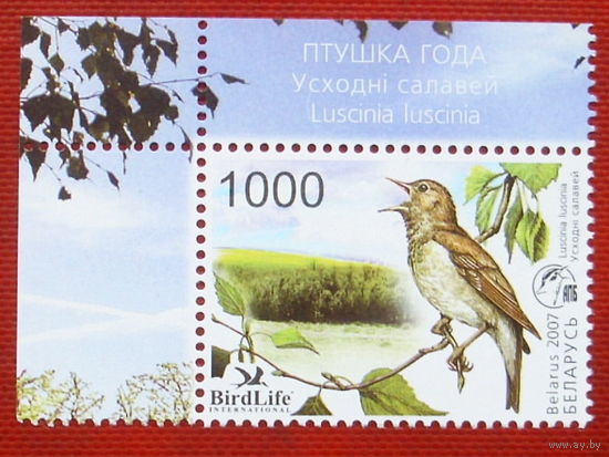 Беларусь. Марка Птица года. Восточный соловей. ( 1 марка ) 2007 года. 2-9.