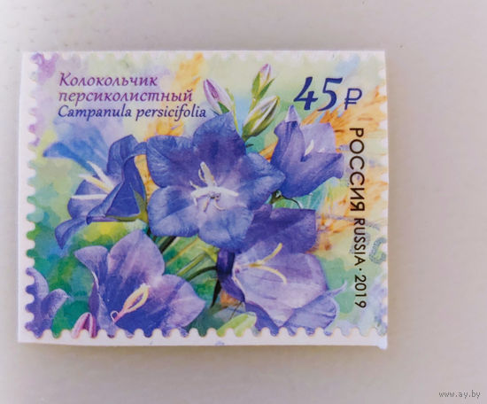 РФ 2019. Флора. Цветы. Колокольчик