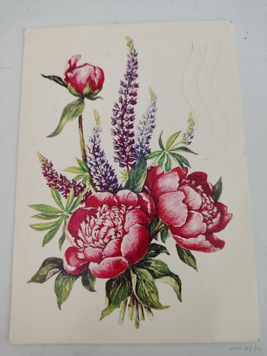 Открытка 1983г. художник Л.Гасиева