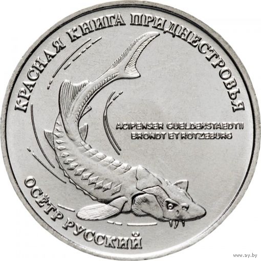 Приднестровье 1 рубль, 2018 Красная книга Приднестровья - Русский осётр UNC