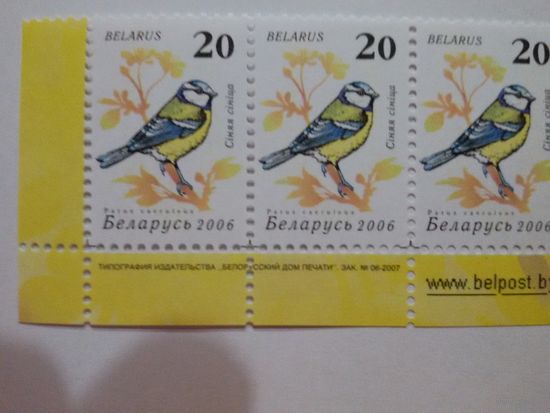 Беларусь. 2006. Девятый стандарт. Зак. 06-2007. Лист 7х3. Нижняя сцепка (А014)