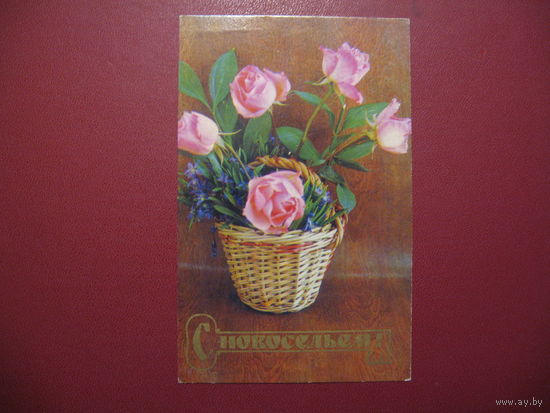 С новосельем (1974 год)