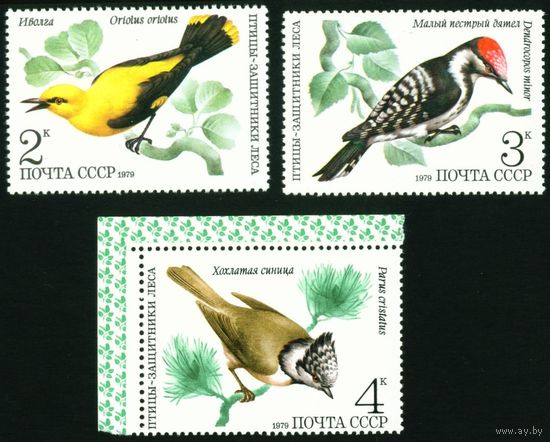 Птицы СССР 1979 год 3 марки