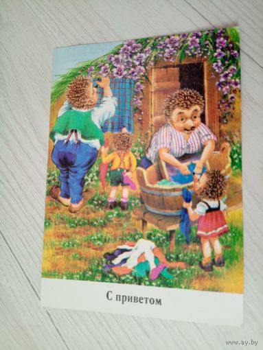 Открытка"Ежи,ежики.ГДР"