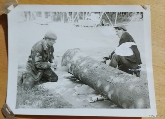 Фото в коллекцию