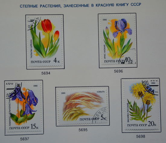 Ссср