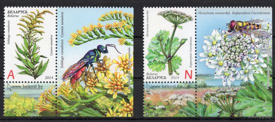 Беларусь 2014. Инвазивные растения Беларуси. 2 марки+купон 1026-27 (716)