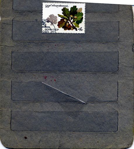 СССР, 1980, дуб обыкновенный