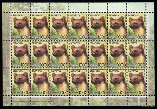 Беларусь. 2008. Стандарт. Куница лесная (1000р) (з.141-2011) Лист
