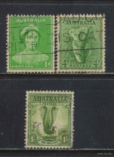 GB Доминион Австралия 1937  Королева Елизавета Коала Птица лир Стандарт # 138С,144С,148С