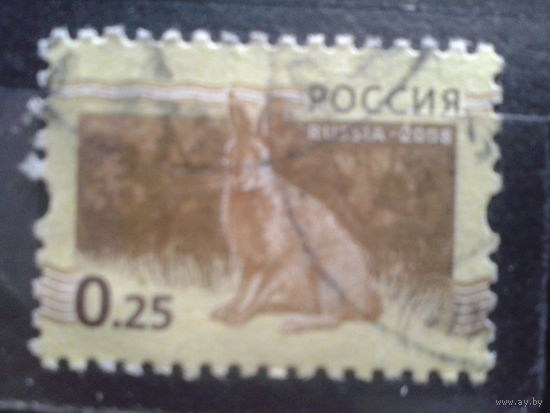 Россия 2008 Стандарт, заяц 25 коп