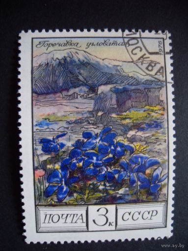СССР. Горечавка угловатая 1976 цветы