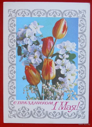 1 Мая! Чистая.  1978 года. Гордеев. 172.