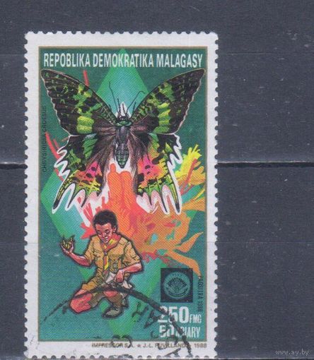 [870] Мадагаскар 1988. Фауна.Скаутизм.Бабочка. Гашеная марка.