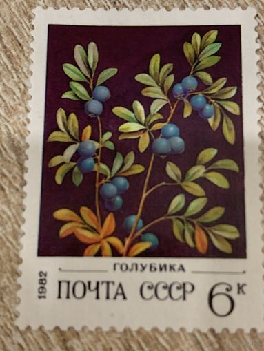 СССР 1982. Голубика. Марка из серии