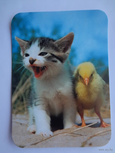 Календарик 2000 г. Котенок и цыпленок.