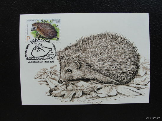 Продажа коллекции с 1 рубля! КПД РБ