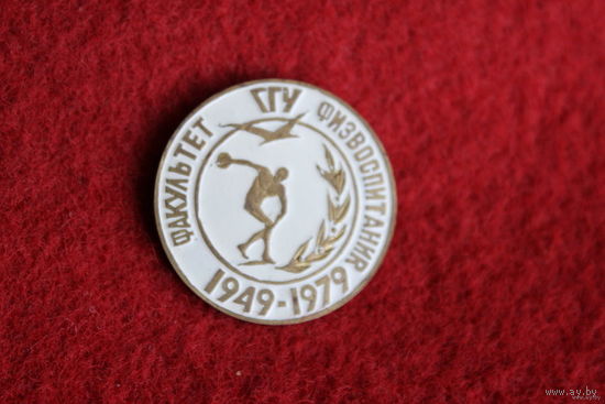 Знак 30 лет факультету физвоспитания Гомельского Государственного Университета с ошибкой Я перевернута в обратную сторону