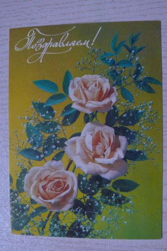 Дергилев И., Поздравляем! 1991, чистая.