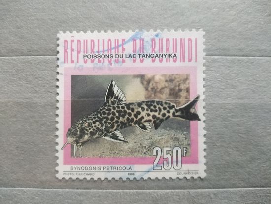 Бурунди.1996г. Фауна.