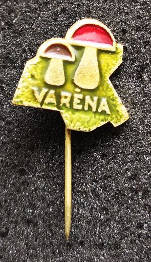 Город Варена (Varena). Литва. Грибы
