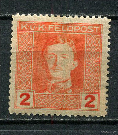 Австро-Венгрия - Полевая почта (Feldpost) - 1917/1918 - Император Карл I 2H - [Mi.54A] - 1 марка. MH.  (Лот 3JB)-TG3P56