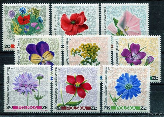 Польша. 1967г. Флора. Цветы. Mi 1781-1789**