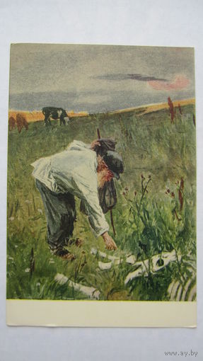 1953. Пластов. Кости Холстомера. "Холстомер" Толстого
