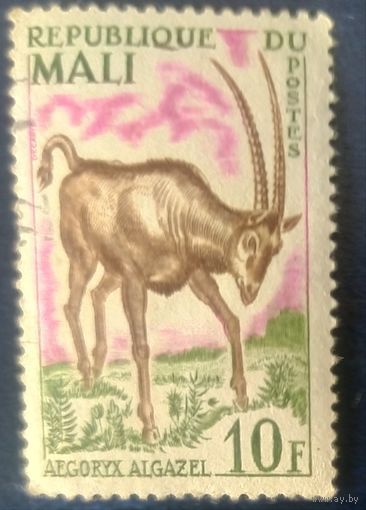 Мали 1965 Антилопа 1 из 5.