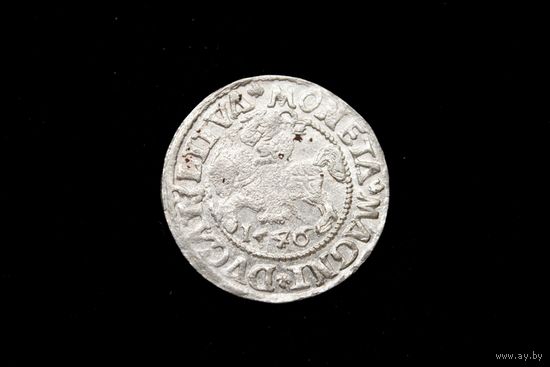 Полугрош 1546 г. Вильно, Сигизмунд Август