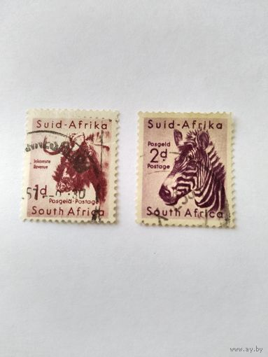 ЮАР 1954 2м