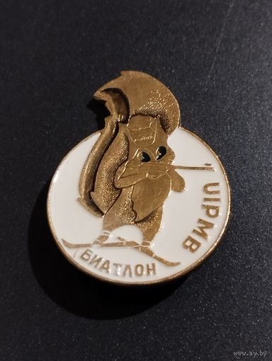 Биатлон.