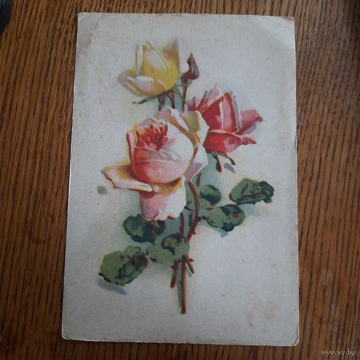 СССР. Розы.1960г. подписана