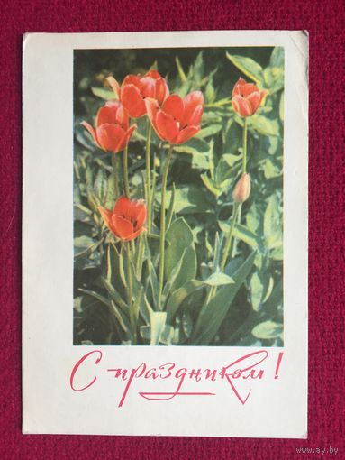 С Праздником! Кропивницкий Заикин. 1968 г.