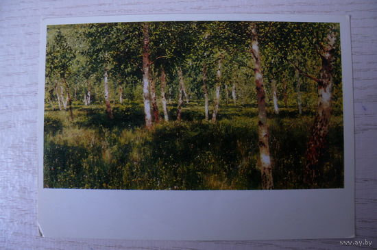 Левитан И. (не указан), Берёзовая роща.