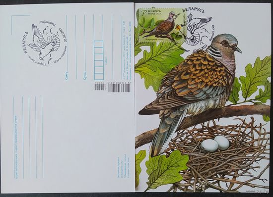 Беларусь 2023 КМ Птица года .