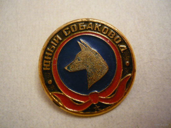 Юный собаковод