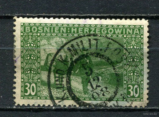 Босния и Герцеговина (Австро-венгерская администрация) - 1906 - Почтальон 30H - [Mi.37] - 1 марка. Гашеная.  (Лот 34FP)-T25P25