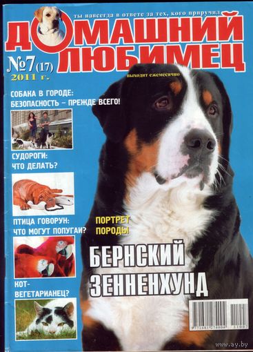 Домашний любимец #17