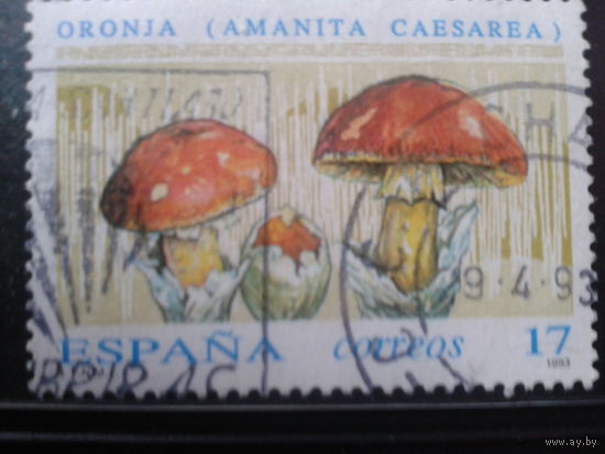 Испания 1993 Грибы