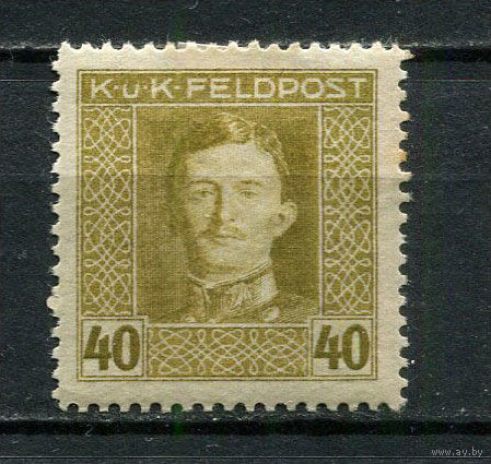 Австро-Венгрия - Полевая почта (Feldpost) - 1917/1918 - Император Карл I 40H - [Mi.64A] - 1 марка. MH.  (Лот 4JB)-TG3P56
